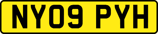 NY09PYH