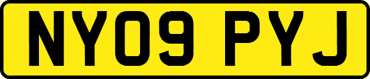 NY09PYJ