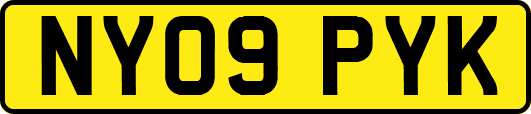 NY09PYK