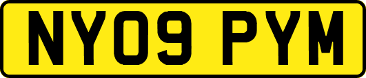 NY09PYM