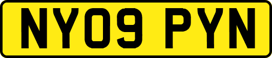 NY09PYN