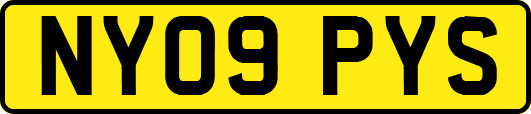 NY09PYS