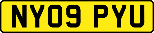 NY09PYU