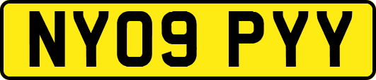 NY09PYY