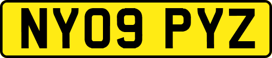 NY09PYZ
