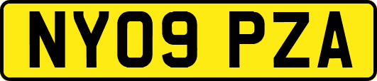NY09PZA