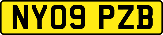 NY09PZB