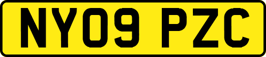 NY09PZC