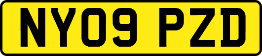 NY09PZD