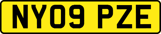 NY09PZE