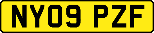 NY09PZF