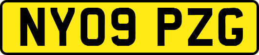 NY09PZG