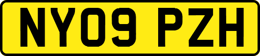 NY09PZH