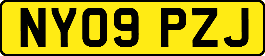 NY09PZJ
