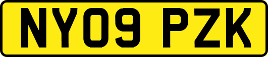 NY09PZK