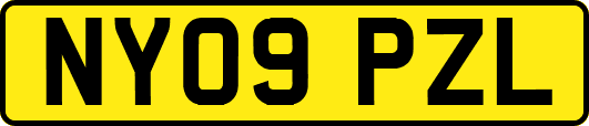 NY09PZL