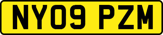 NY09PZM