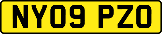 NY09PZO
