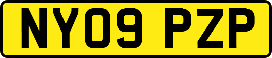 NY09PZP