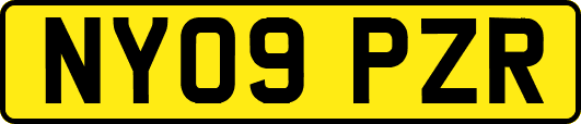 NY09PZR