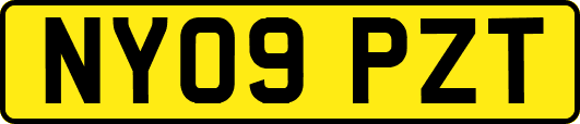 NY09PZT