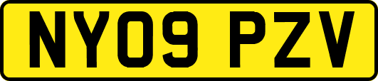 NY09PZV