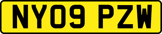 NY09PZW