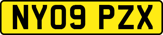 NY09PZX