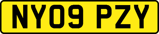 NY09PZY