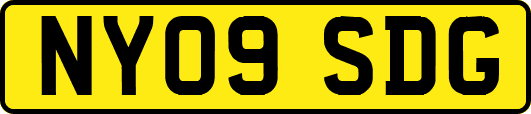 NY09SDG