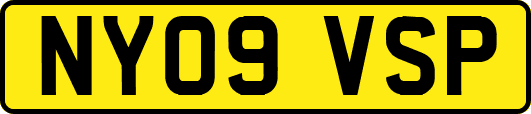 NY09VSP