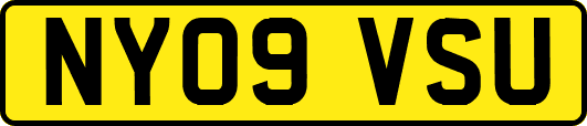 NY09VSU