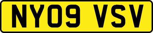 NY09VSV