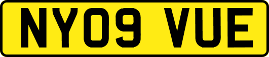 NY09VUE