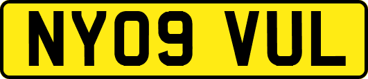 NY09VUL
