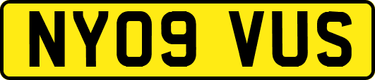 NY09VUS