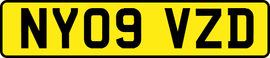 NY09VZD
