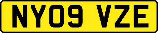 NY09VZE