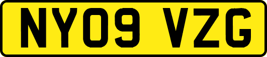 NY09VZG