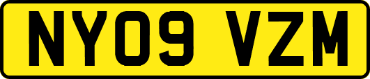 NY09VZM