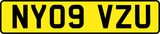 NY09VZU