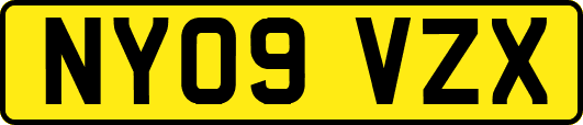 NY09VZX