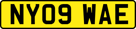 NY09WAE