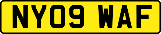 NY09WAF