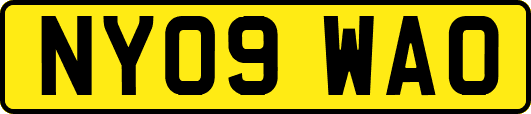 NY09WAO