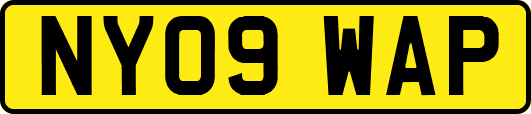 NY09WAP