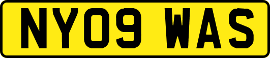 NY09WAS
