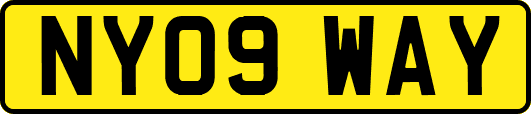 NY09WAY