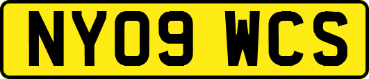 NY09WCS