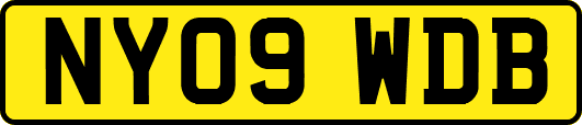 NY09WDB